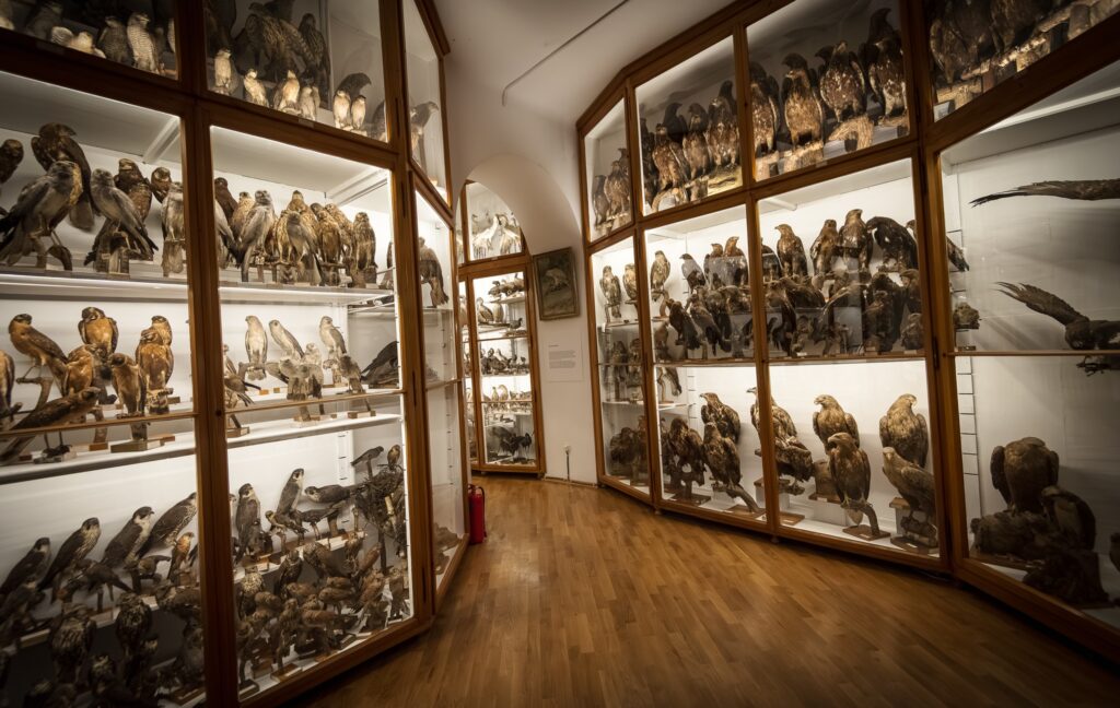 564615270 1349653670197873 7236867562194334552 n