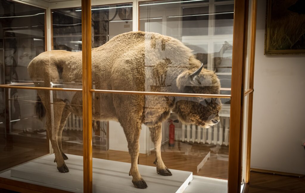 564629412 1349656123530961 7255678974364850363 n