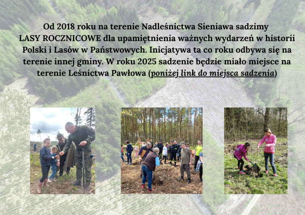 565098839 1255481103291885 221664290653840041 n