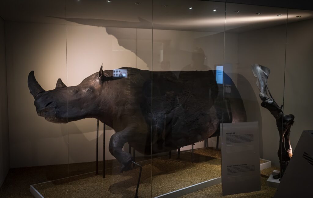 565104610 1349654480197792 6983021082248613869 n