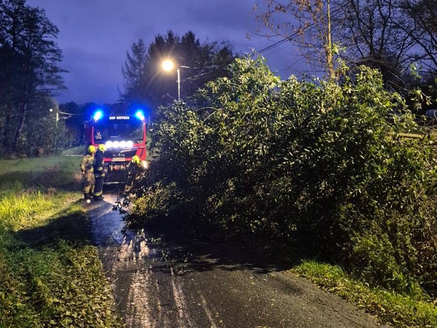 565150478 1133419448904960 990143684824825757 n1