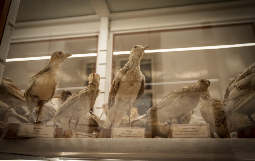 565329017 1349653943531179 6943877941175323495 n