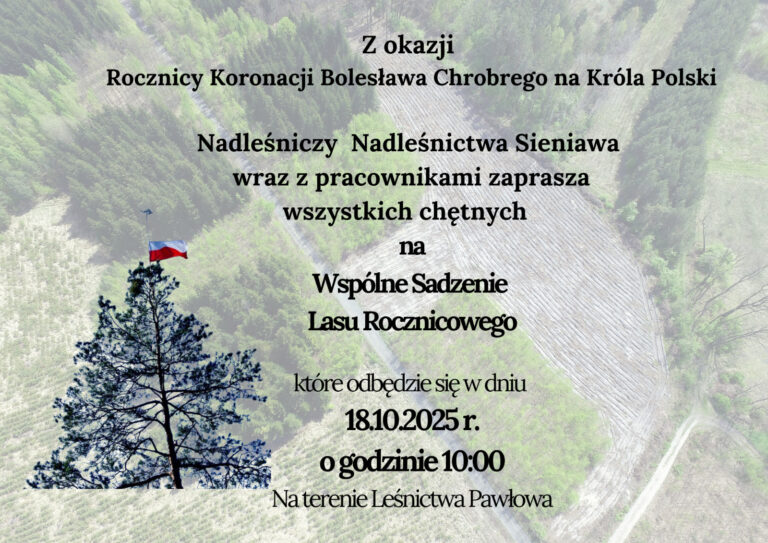 566205136 1255481056625223 606353281129209220 n