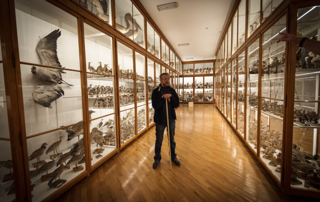 566250218 1349664330196807 880040027081512983 n