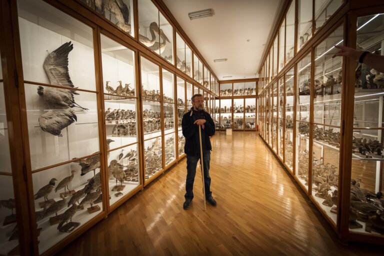 566250218 1349664330196807 880040027081512983 n