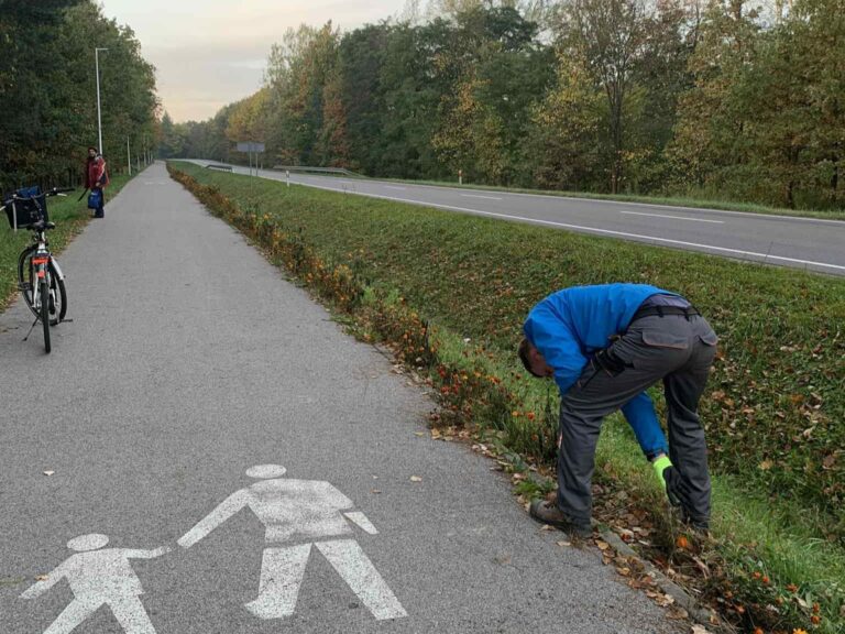 566285932 122265209594219523 7978942984054232631 n1