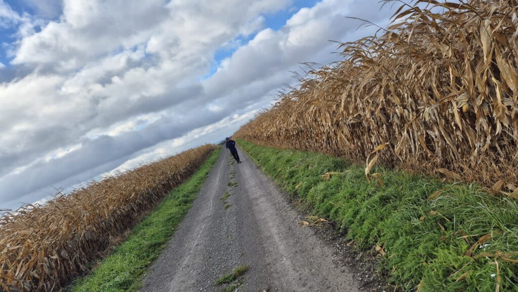 567544981 122304867392226451 7272745931999940679 n