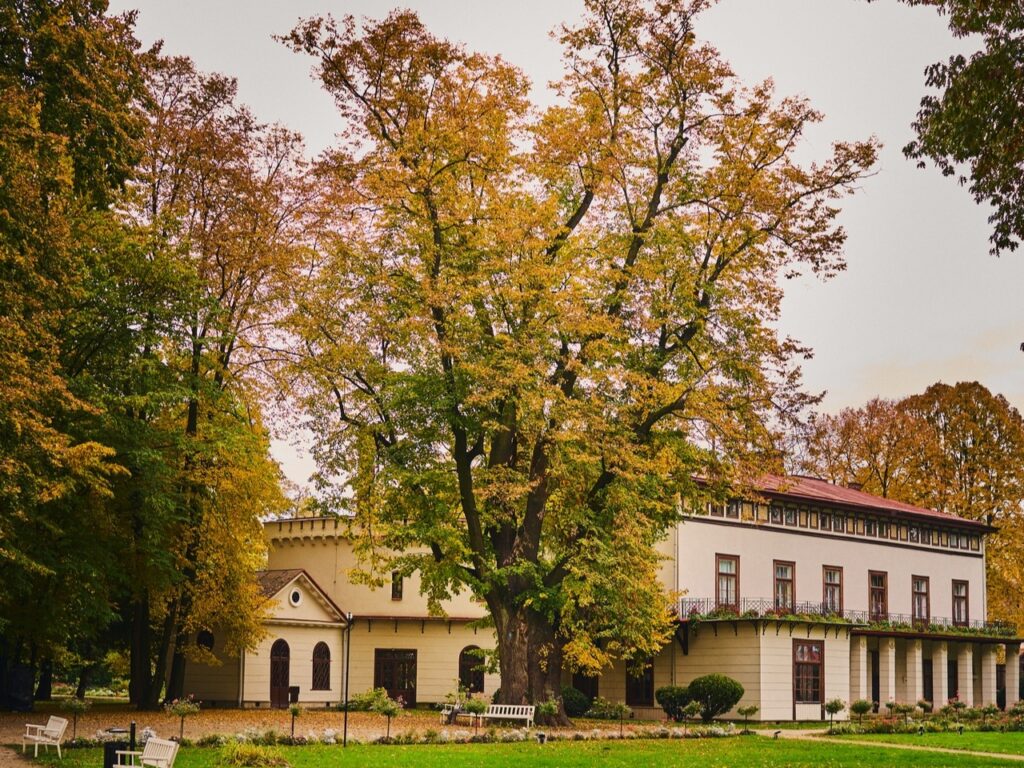 568696660 1393841316082801 4530462614515526020 n1