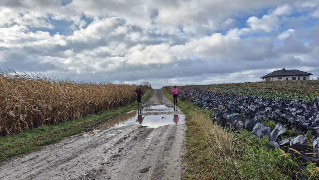 568732569 122304867326226451 1298068837785327788 n