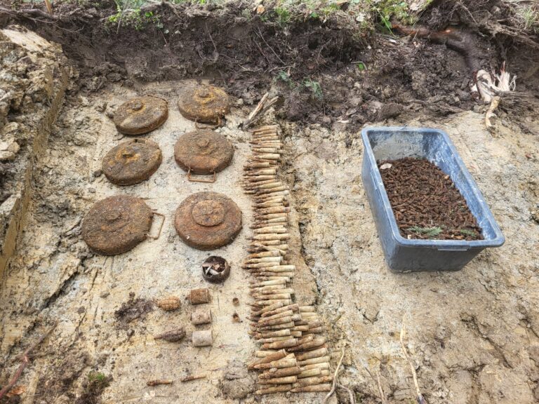 569445987 1299305295574541 7202624124184079297 n