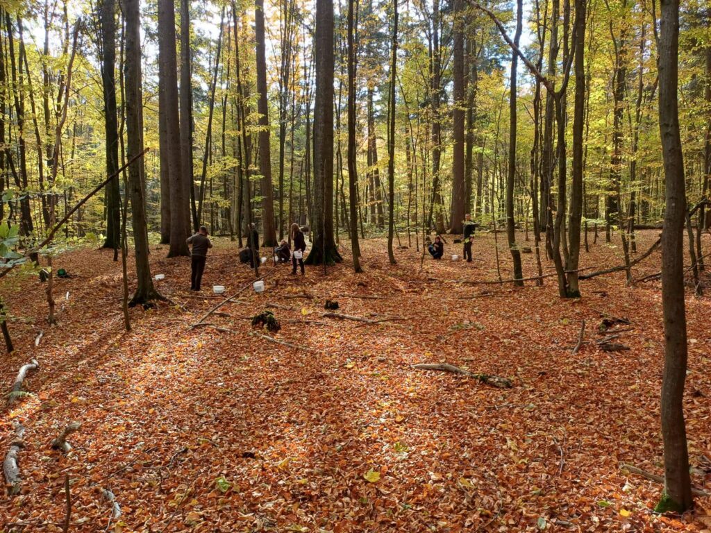 569551573 1500521854360963 4445056734845773241 n