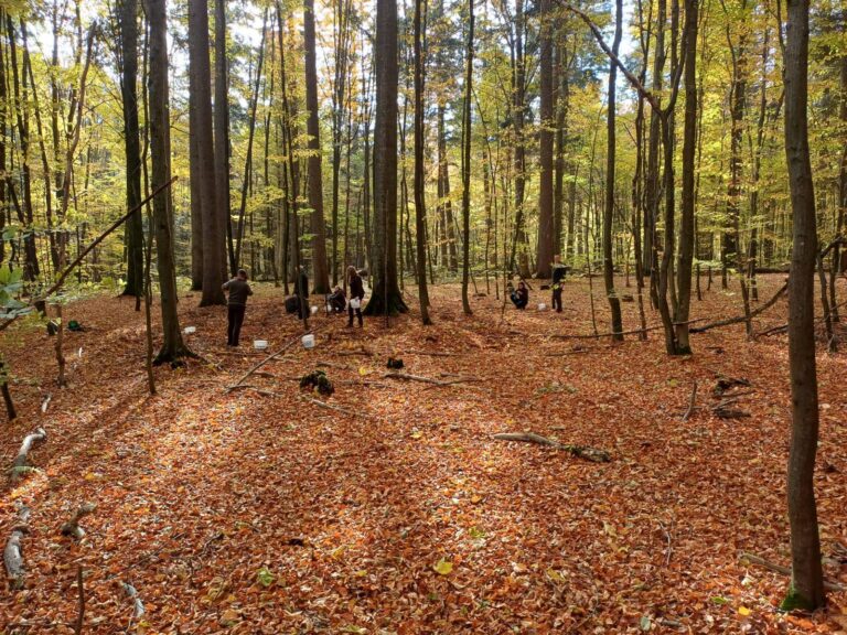 569551573 1500521854360963 4445056734845773241 n