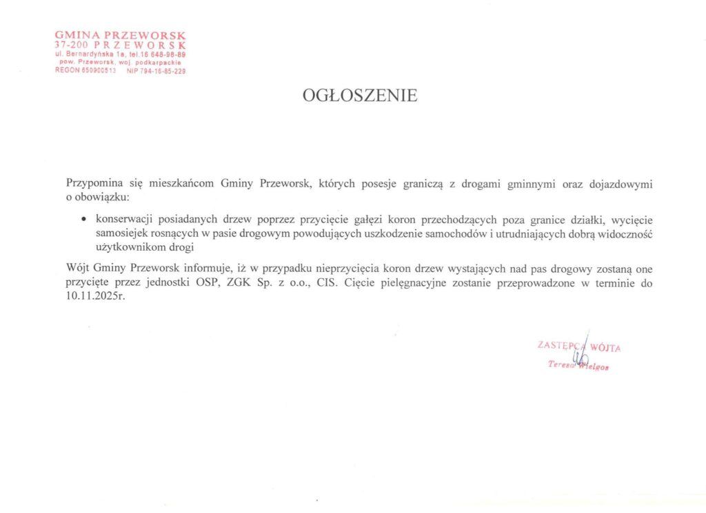 570198302 1274260471412825 6689523486831423873 n