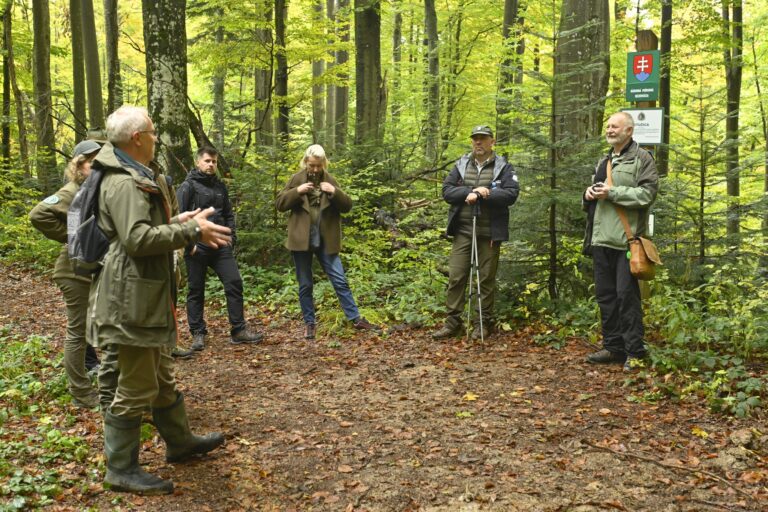 570300066 1248707007294856 1976188910540781365 n