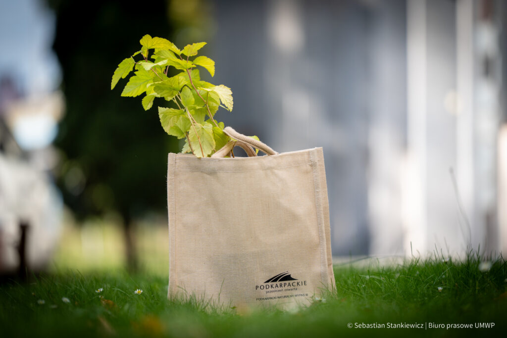 570308611 1263726615789462 4373189090451045900 n