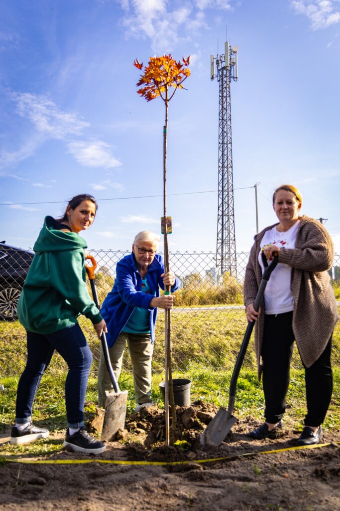 W Krasnem Odbyła Się Akcja Sadzenia Drzew Z Udziałem Przedszkolaków I Przedstawicieli Władz Gminy Adamówka 1 571113259 1127920199522741 2527773957647562956 N