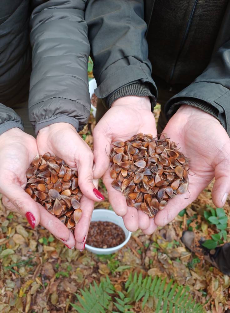 571139581 1500521707694311 483097722713979650 N