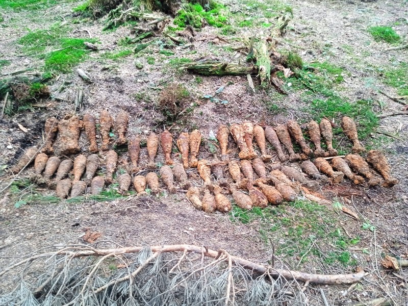 Podkarpacie. Arsenał Z Czasów Wojny Na Budowie S19. Znaleziono Prawie 2000 Niewybuchów 1 571162886 1299305282241209 6234098130099425050 N