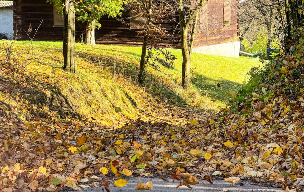 571220207 1281403777363788 3766071806798643474 n