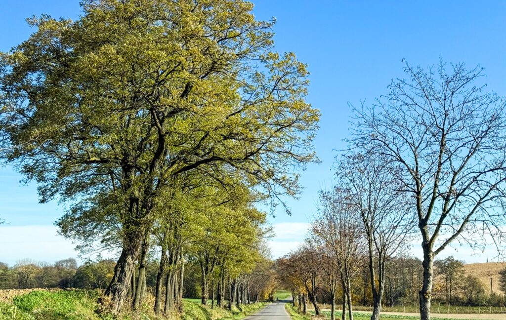 571268995 1281403687363797 825478252993279797 n