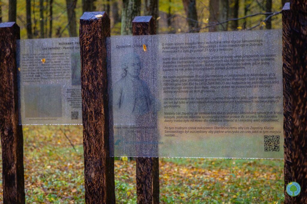 571300740 1128262252821869 1823891673903332053 N