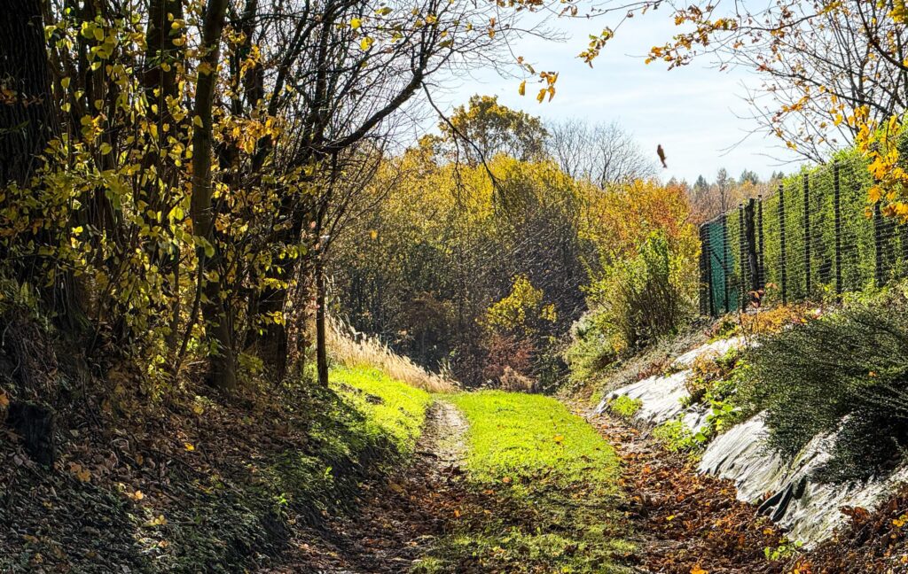 571331554 1281403817363784 668072853834747114 n