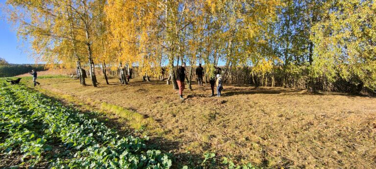 571449451 1232297535601322 7022876963716821919 n