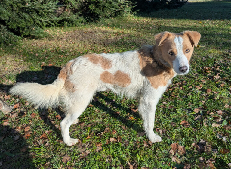 572023488 122193358472310265 7123165838202367984 n