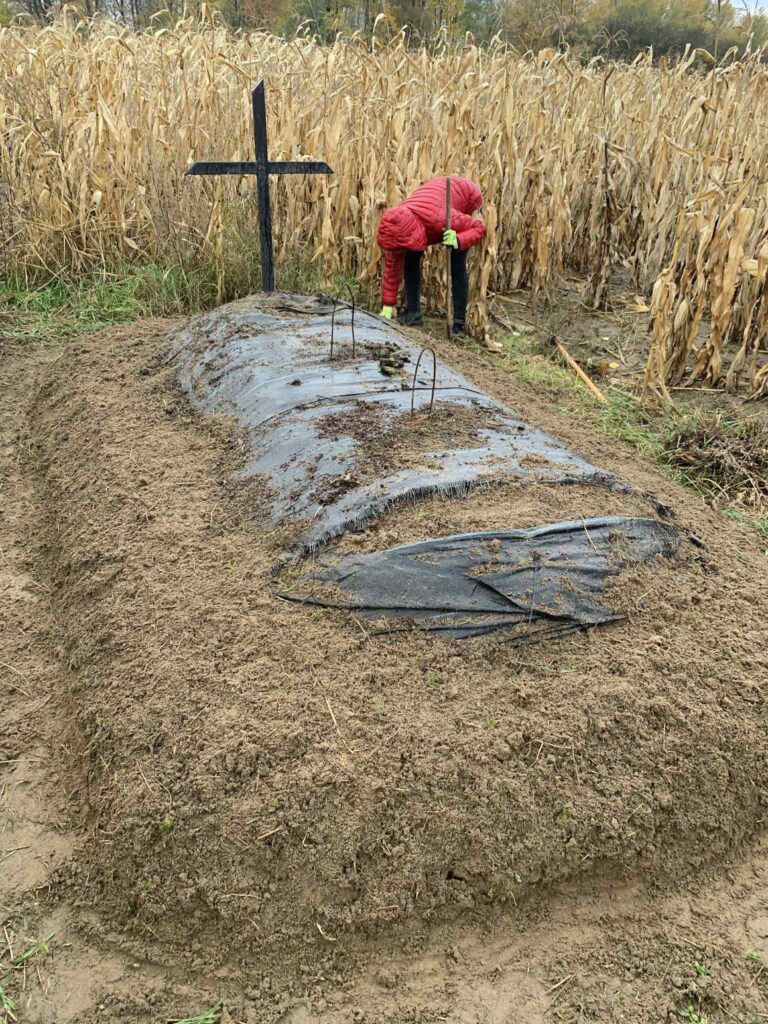 572233139 122266569434219523 5586800480949345906 n