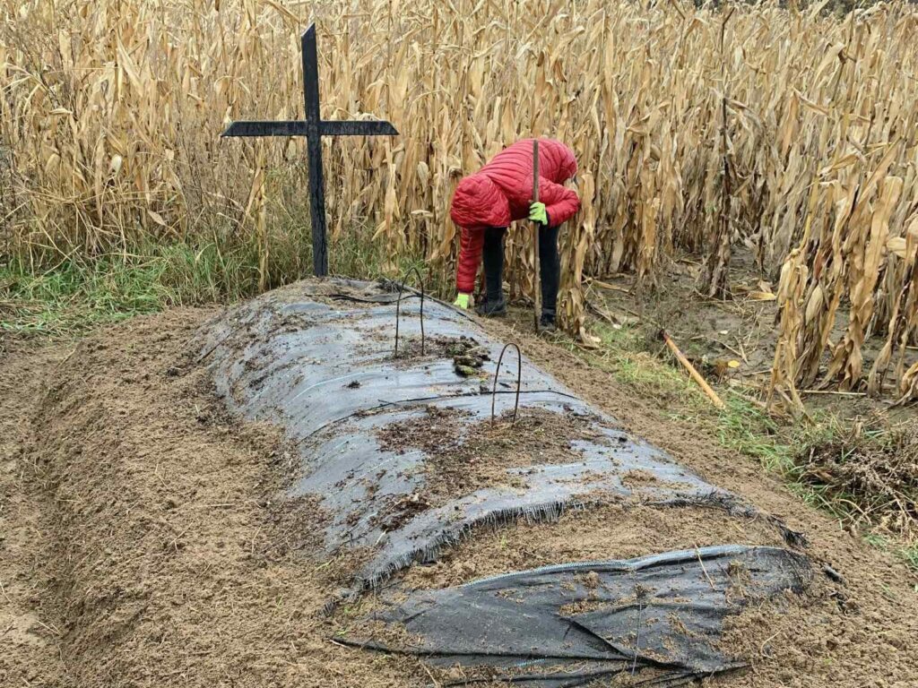 572233139 122266569434219523 5586800480949345906 n