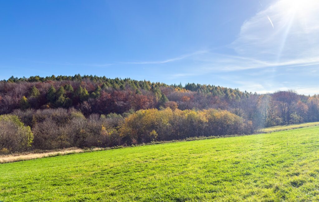 572773434 1281403980697101 49639904810477770 n