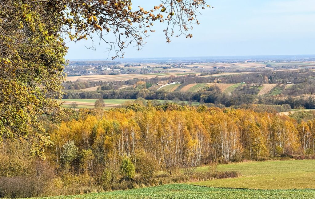 573337880 1281403764030456 7596627338323331831 n