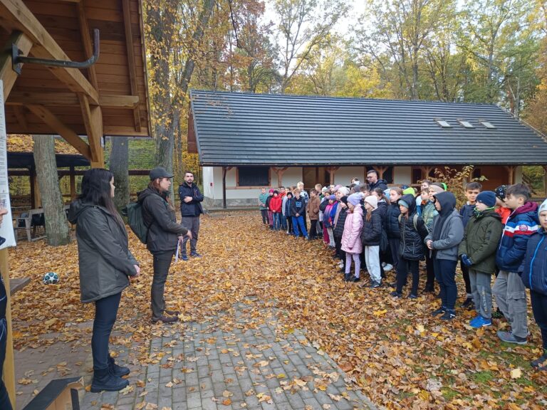 574282211 1267347602105235 8470488884188277672 n