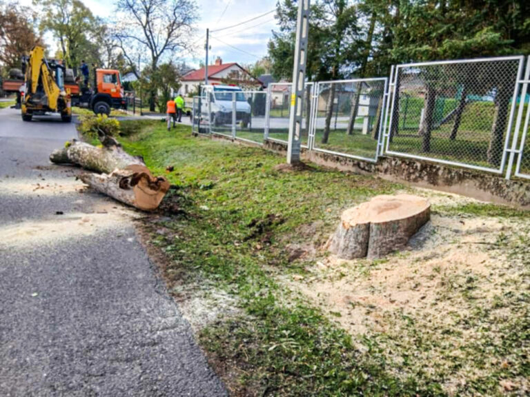 574462003 849250751126782 2831628982012379166 n