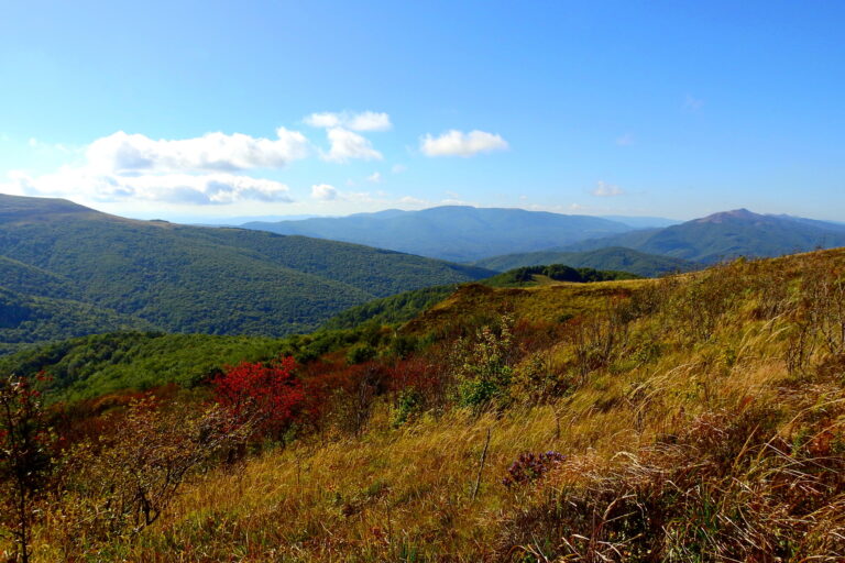 Bieszczadzki Park Narodowy
