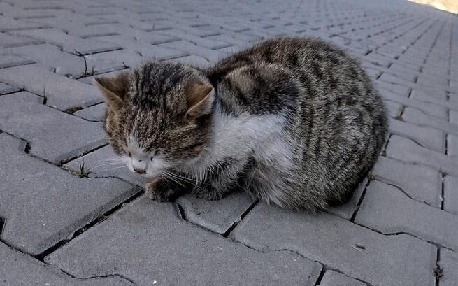 content 676a37cb 9017 4eff a9bb 00396b1fac62