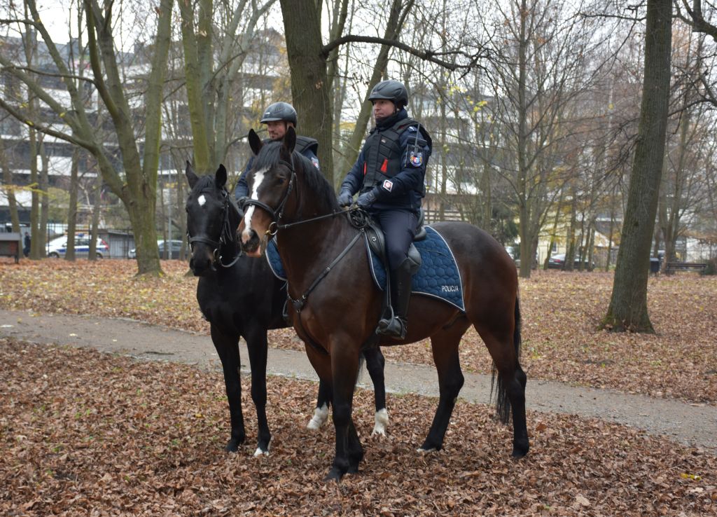 Policjanci zabezpieczali mecz pomiędzy drużynami JKS Jarosław i Karpaty Krosno 1 449 352638