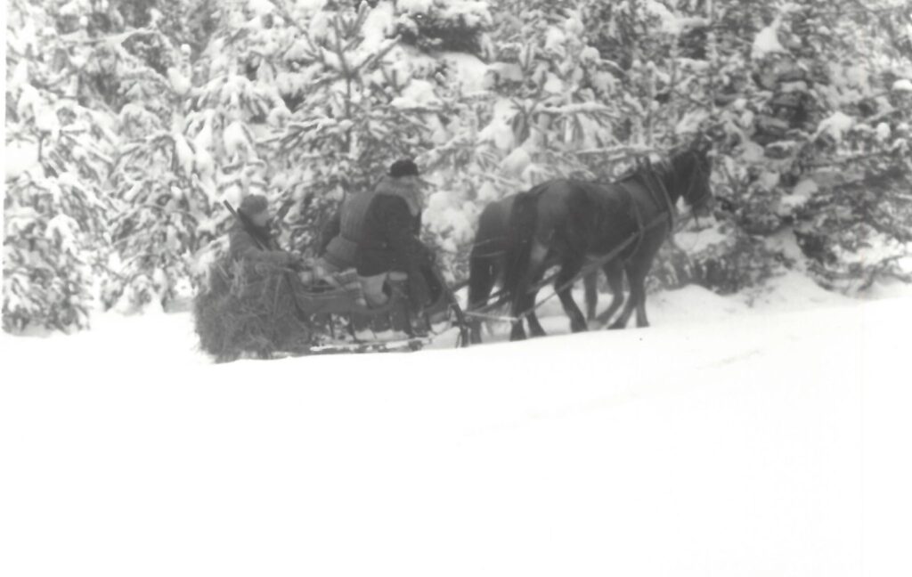 558079865 1272436948246517 8847334831400088586 n