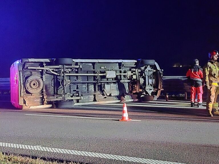 559023865 1134721602148344 2885641574217093174 n1