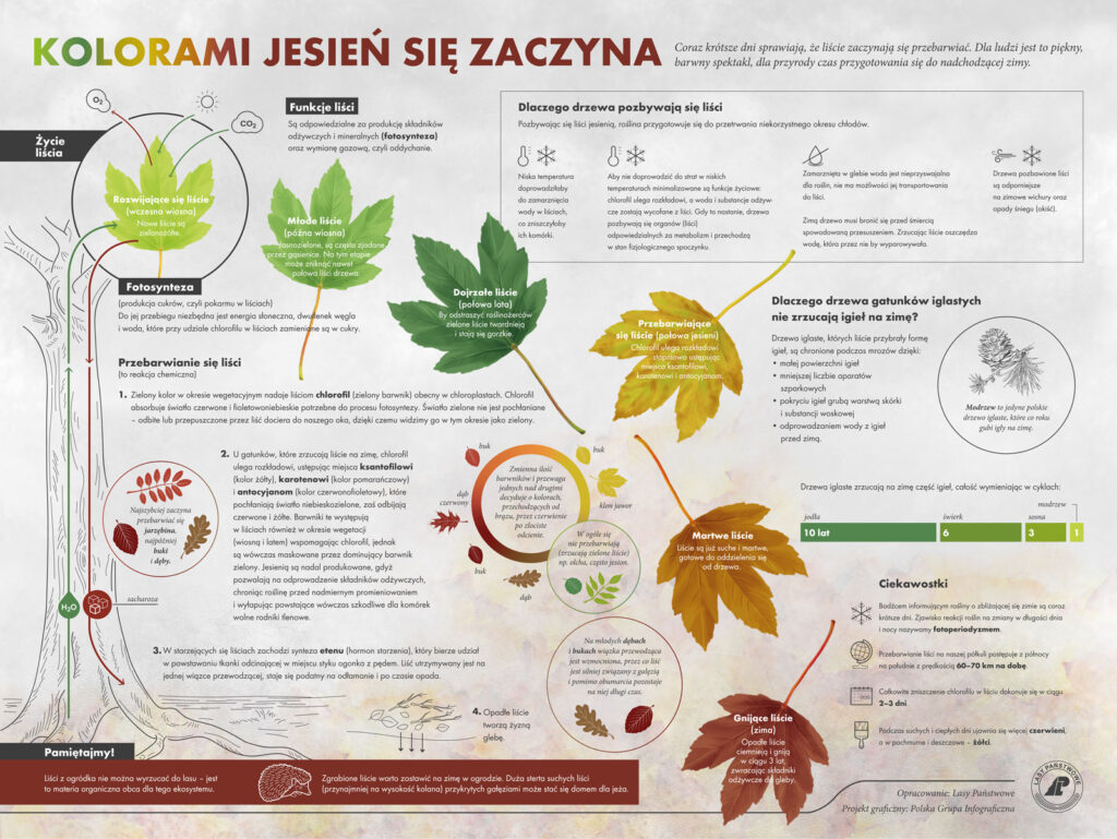 571128307 1248804113943134 7772620986043444585 n