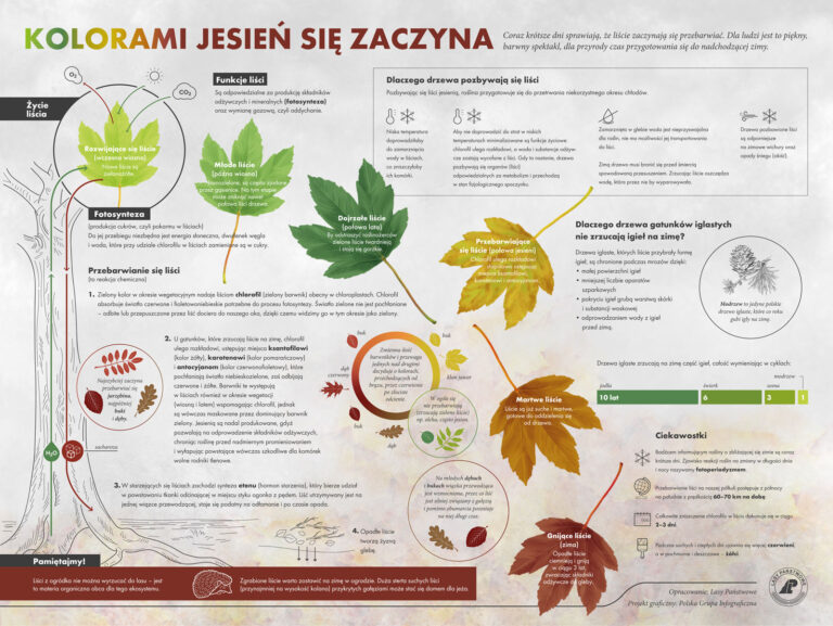 571128307 1248804113943134 7772620986043444585 n