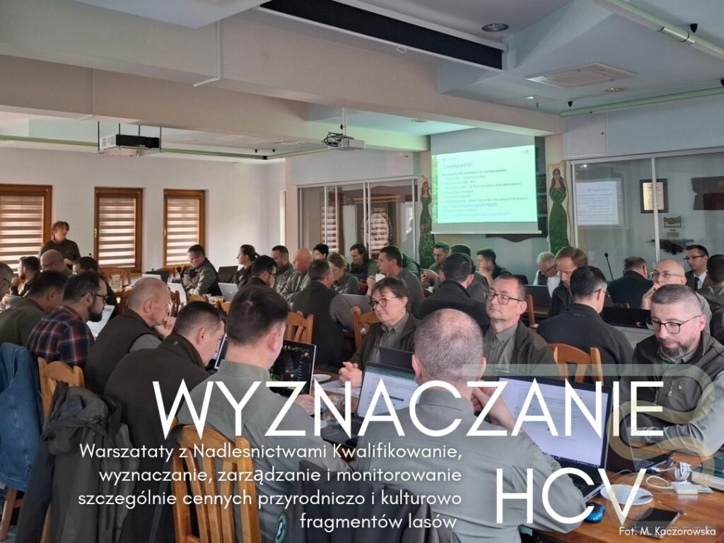 571422012 1254839323339613 1494024593875743031 n