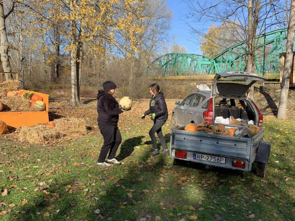 574027934 122267086190219523 8418243373396144512 nq