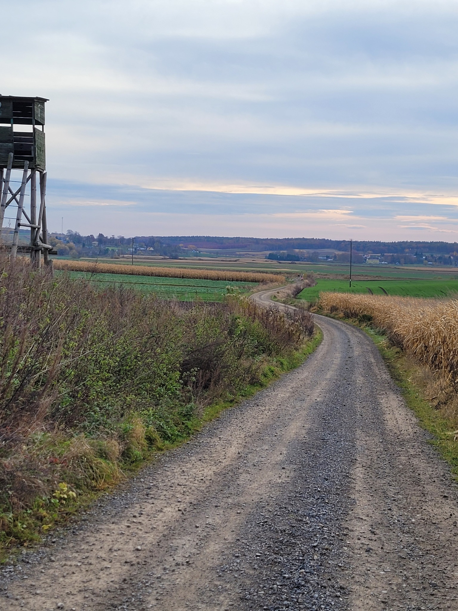 574583731 122306967164226451 6926198065995139873 n