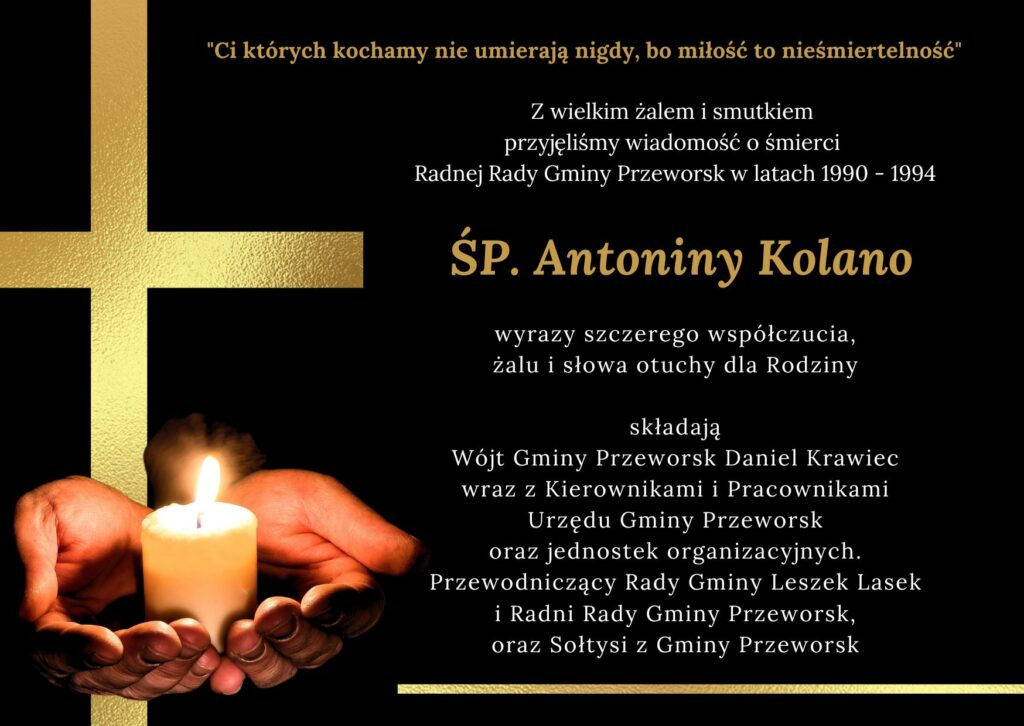 574862786 1286230850215787 5215408292087506377 n