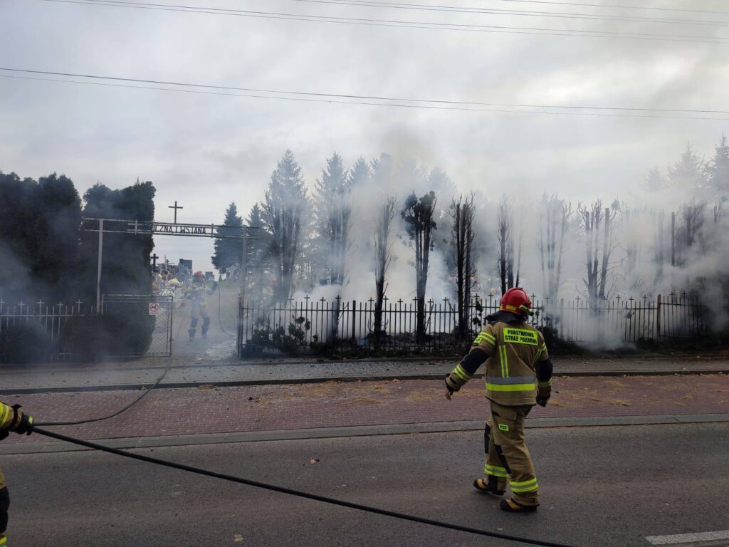 576330539 1147204554267174 1268509360500257593 n