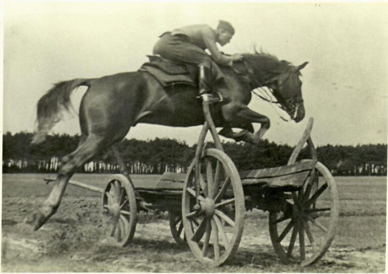 577055945 1132062719105897 5319686364121626352 n