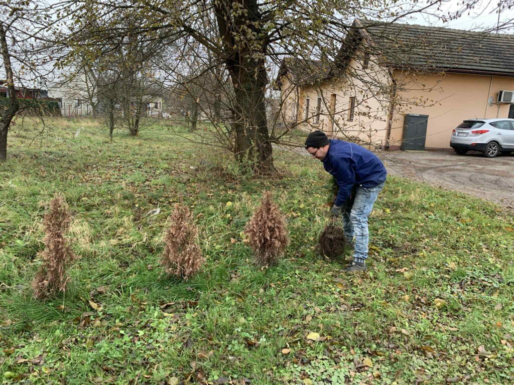 577605925 122268445880219523 996042359143486773 n