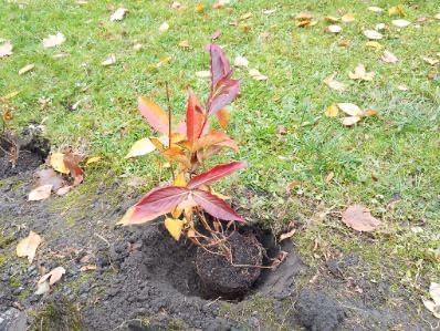 578264667 1327298752520705 7128389502905796996 n