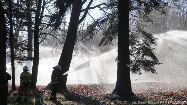 578495731 1243849937779415 3741532950769942881 n